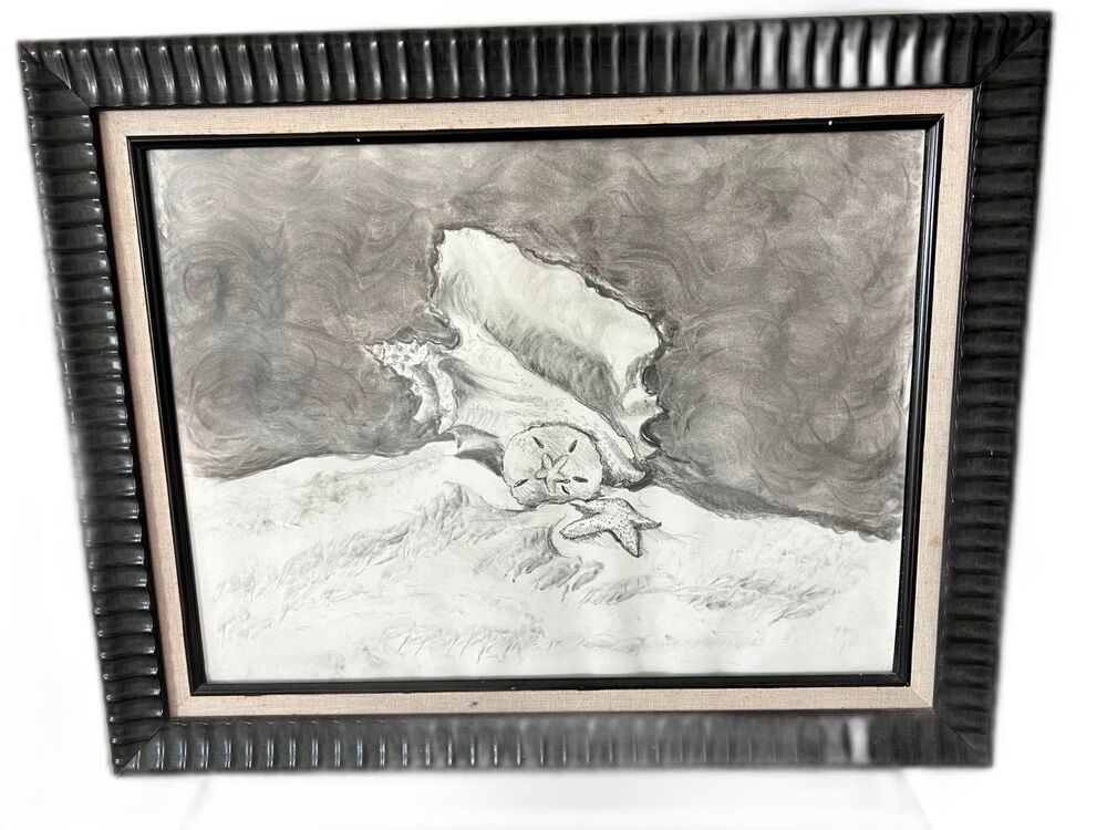 Handmade FRAMED Pencil Drawing Sketch of a Shell Starfish Sand Dollar